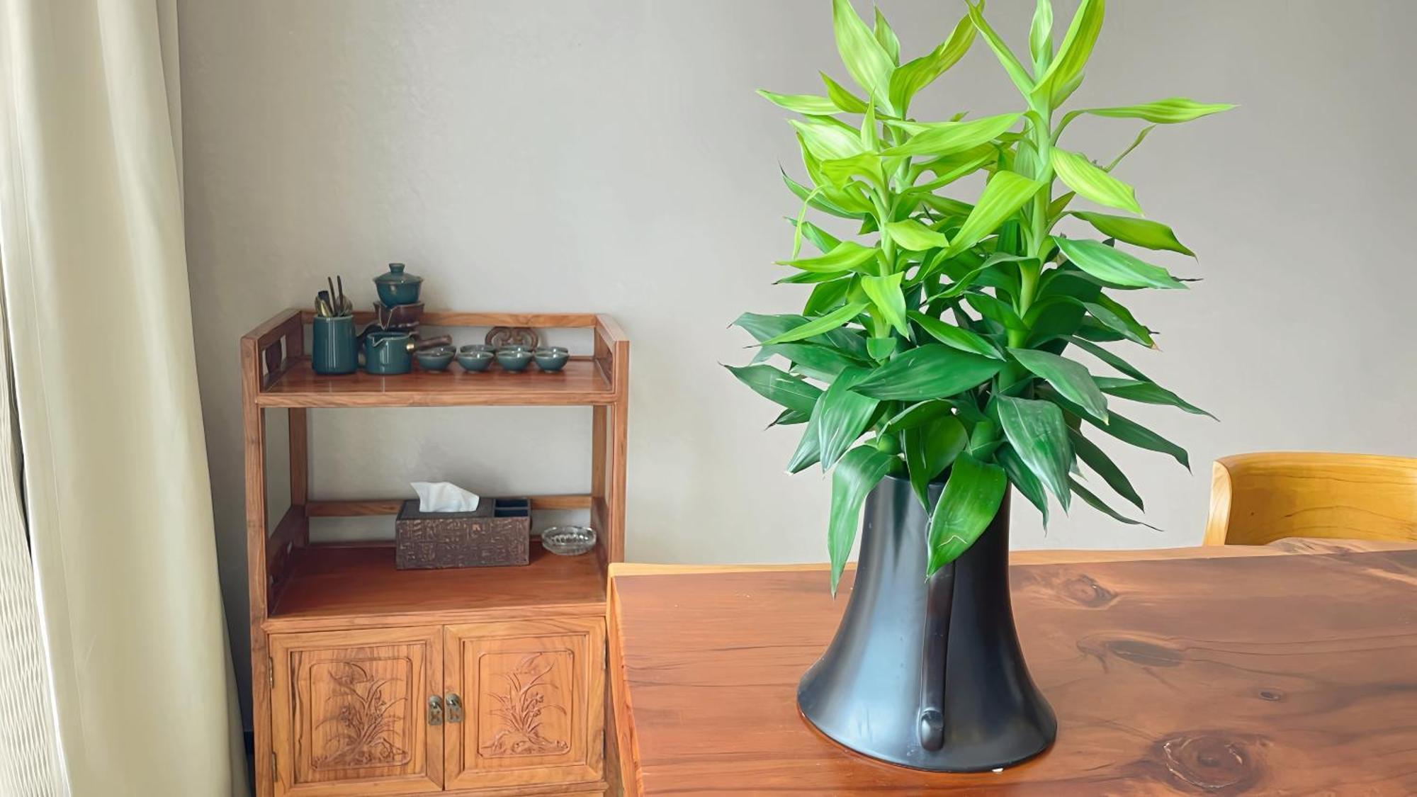 Guangzhou Xing Yi International Apartment - Poly World Branch Eksteriør billede
